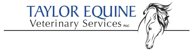 Taylor Equine Veterinary